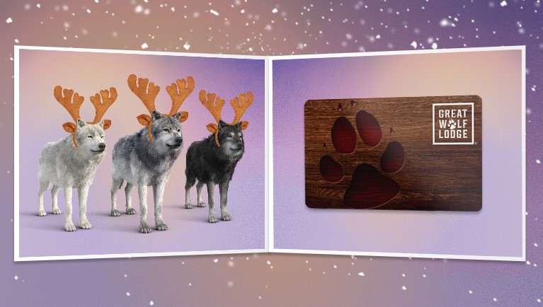 Great wolf lodge holiday themed gift card image